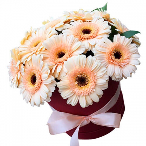 15 Гербер в шляпной коробке "Изумление"